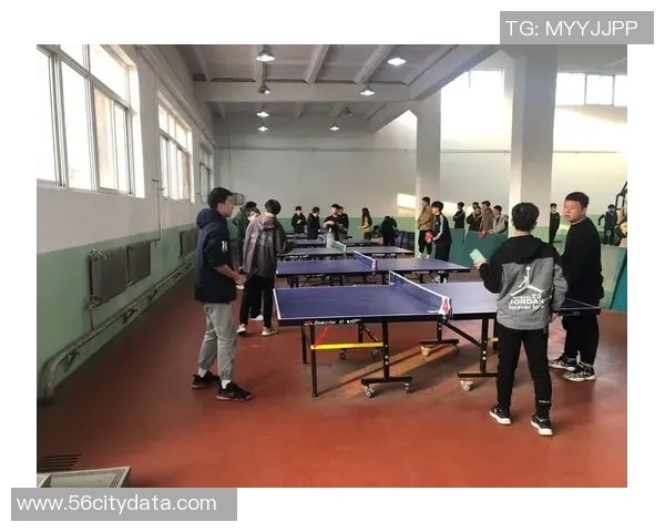 赵秀英独家分享乒乓球技巧与心得体会助你提升球技的秘籍与经验